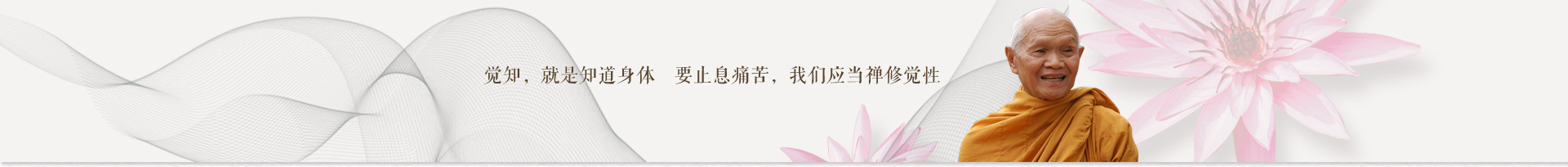 续智法师简介